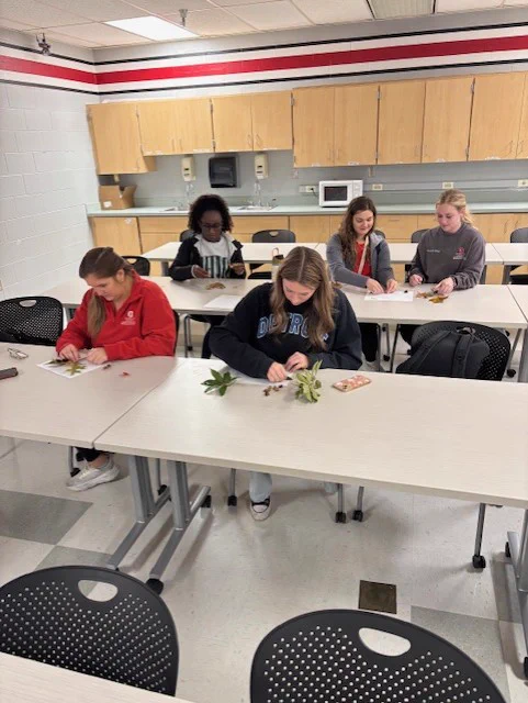 Group of OTD students working on their nature based activity