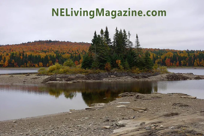 NH Fall Foliage2
