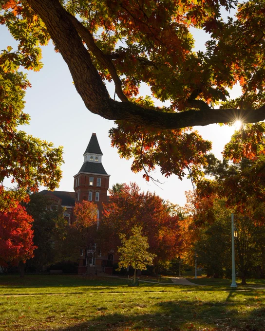 Autumn campus view: Linton Hall, a red brick building with a prominent tower stands on Michigan State's campus among trees displaying fall colors, with sunlight filtering through the leaves and illuminating the scene.