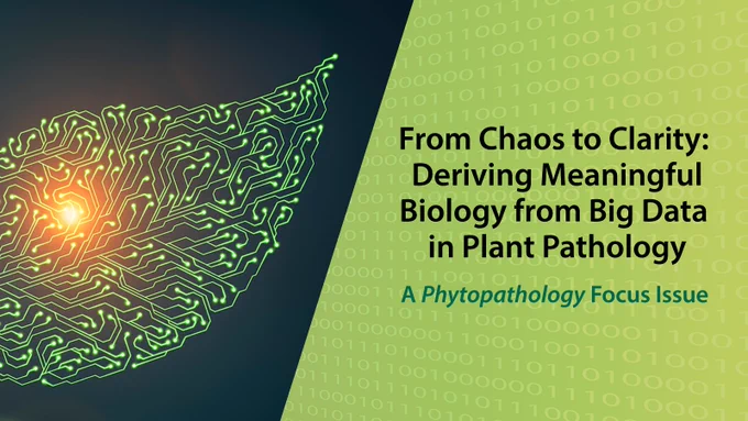 From Chaos to Clarity: Deriving Meaningful Biology from Big Data in Plant Pathology • A Phytopathology Focus Issue