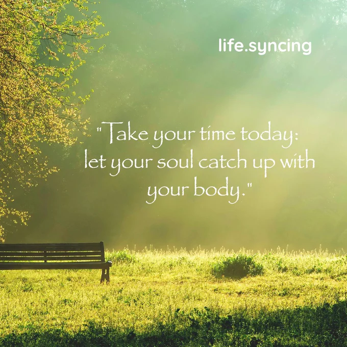 take your time today.  let your soul catch up with your body,
life.syncing
image:  sun shining through the trees onto the parkland.