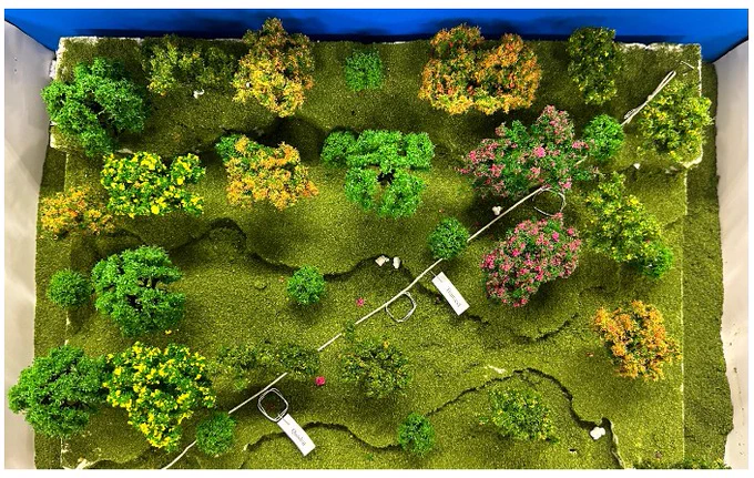 An example of a model made using recycled and other materials for the RSB BioCraft competition. Credit: RSB. 