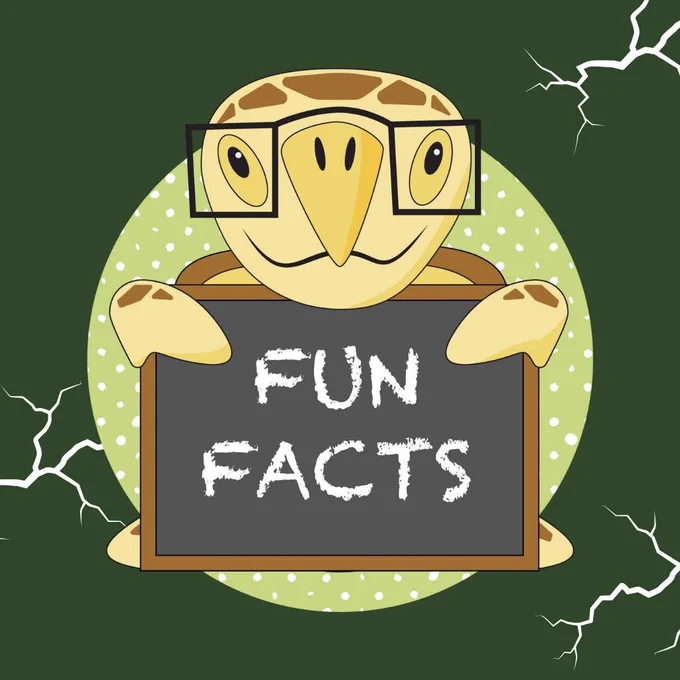 A sea turtle wearing glasses holding a chalkboard that says “Fun Facts”.