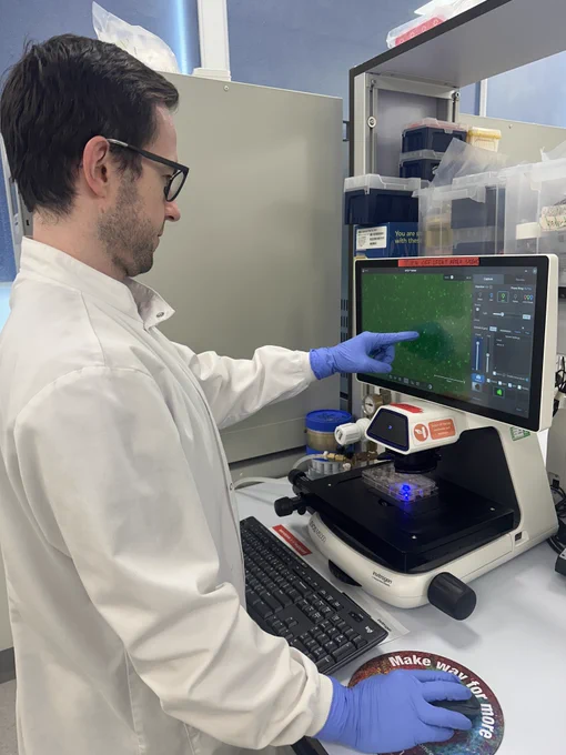Here one of our team members, Dr Nicholas Brittain, is pointing to a green cell that has successfully taken up the gene-editing proteins.