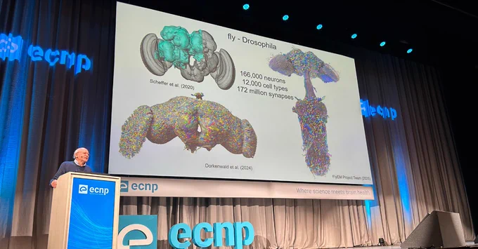Larry Abbott Plenary Lecture at ECNP 2025