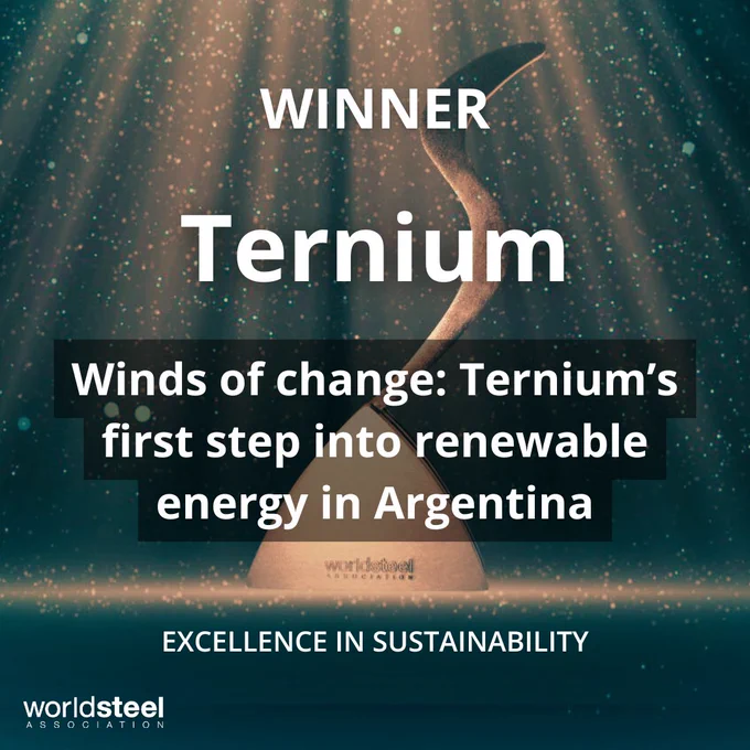 Ternium are winners of the 2025 Excellence in sustainability Steelie Award.