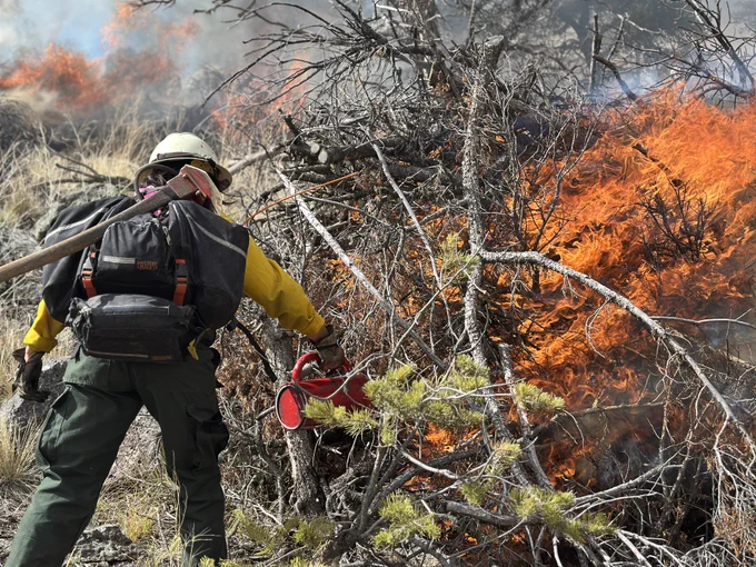 A fire crew member ignites a pile of branches with a drip torch.