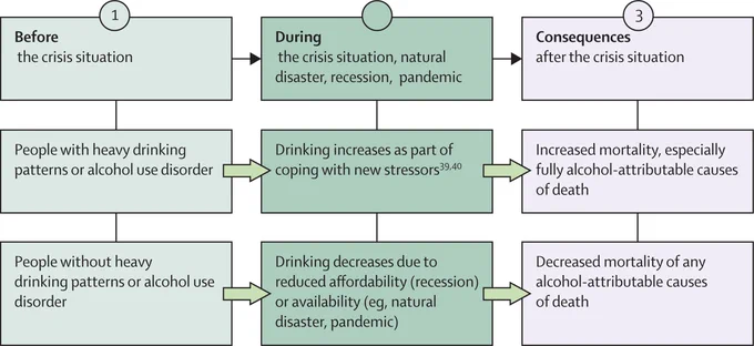 Figure: Interaction between different levels of drinking in crisis situations. Copyright:  Elsevier Ltd. All rights are reserved, including those for text and data mining, AI training, and similar technologies.