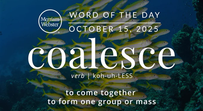 Merriam-Webster Word of the Day for October 15, 2025 'coalesce' verb | kuh-uh-LESS "to come together to form one group or mass" Background Image: a school of fish