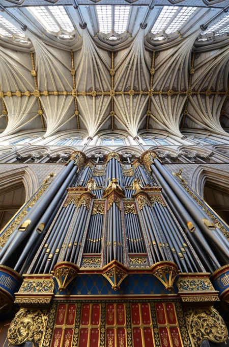 A photograph of organ pipes, looking up towards the vaulted ceiling of the nave of Westminster Abbey