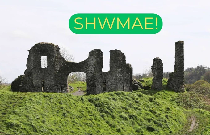 Bold yellow "SHWMAE" text over a photo of the ancient ruins of Newcastle Emlyn Castle in Carmarthenshire, Wales - symbolising National Shwmae Day and a celebration of the Welsh Language.