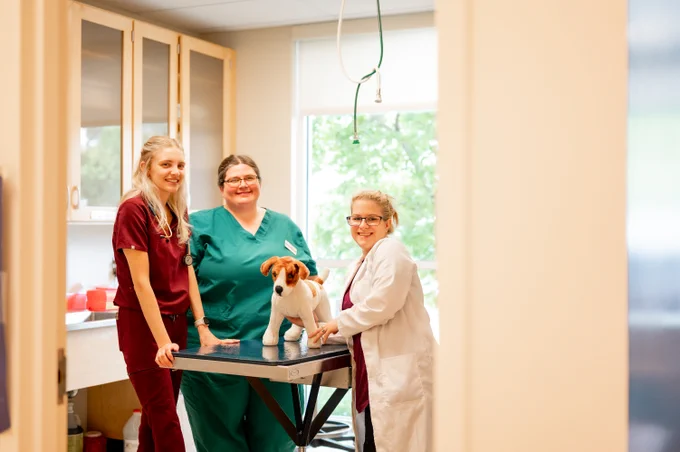 Three veterinary professionals, one in a lab coat, smiling beside an examination table with a plush dog model in a clinic setting.