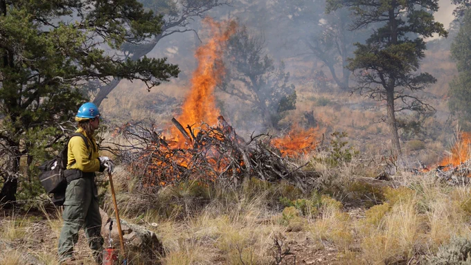 A fire crew member monitors piles as they burn down.