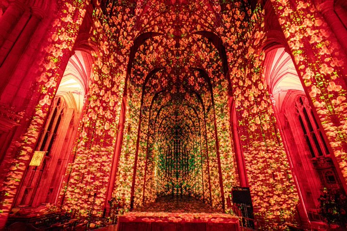 An interior view of a large cathedral illuminated with a vivid red and gold light projection depicting cascading poppy flowers. The arched ceiling and tall columns are covered in the floral patterns, creating a warm, immersive atmosphere of light and color.