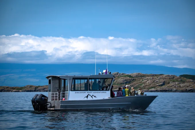 Photo: A boat labeled "Discovery West Adventures" with several passengers onboard, floating on calm waters near a rocky coastline under a partly cloudy sky.