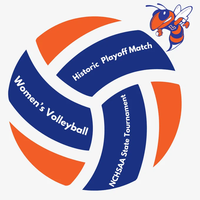 Volleyball image