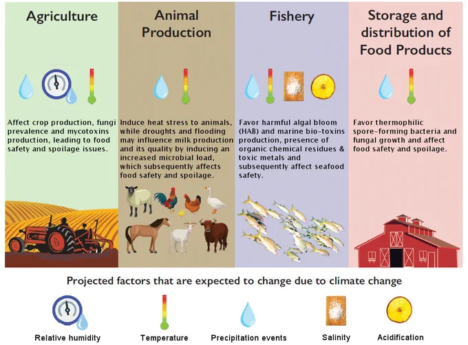 Projected climate change effects.