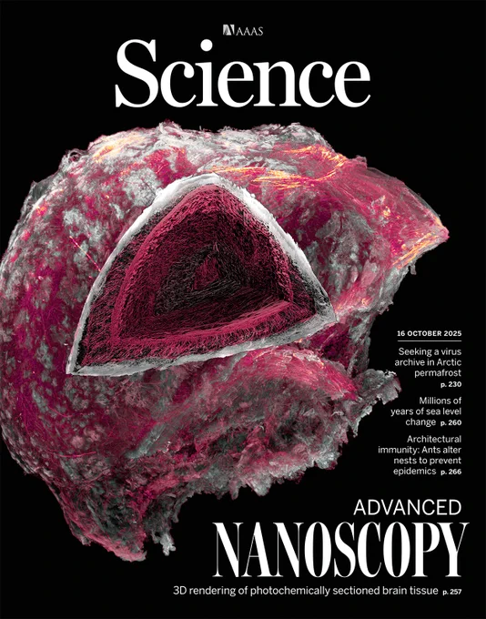 Cover: 3D WT bulb, wedge-out view; VIPS alternates light-sheet imaging & photochemical sectioning. 