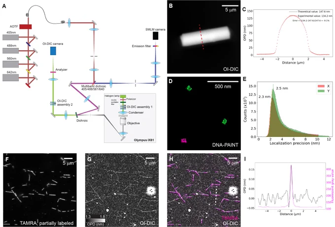 #Microscopy #CellBiology #OI-DIC #SMLM