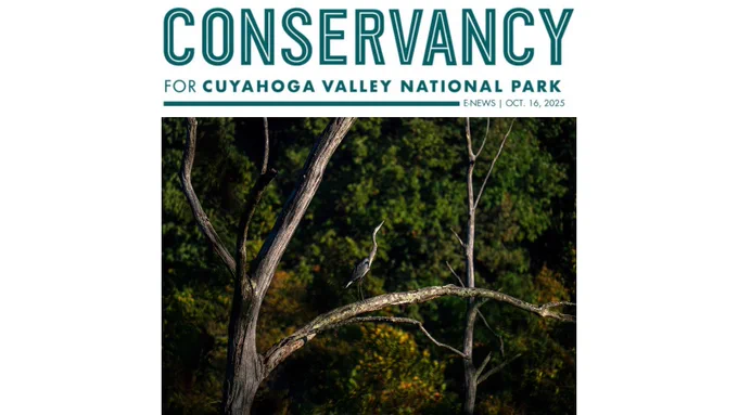 A Conservancy for Cuyahoga Valley National Park logo with the word e-news and the date October 16, 2025. Beneath is a photo of a heron on a branch in early autumn. 