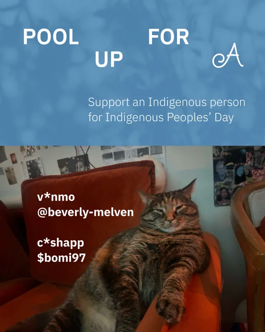 Light blue background with white text. Photo of an organizer’s cat, 

Text reads:

Pool up for A — 

Support an Indigenous person for Indigenous Peoples’ Day 

V*nmo @ beverly-melven
C*shapp $bomi97 