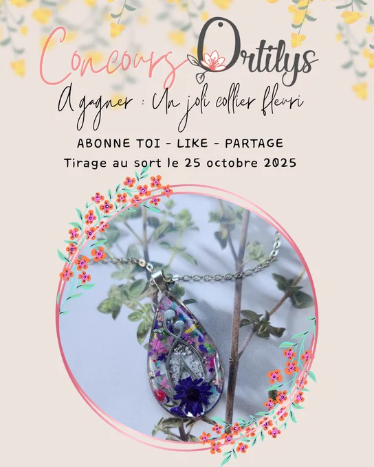 une affiche pour le concours avec en photo le collier à gagner