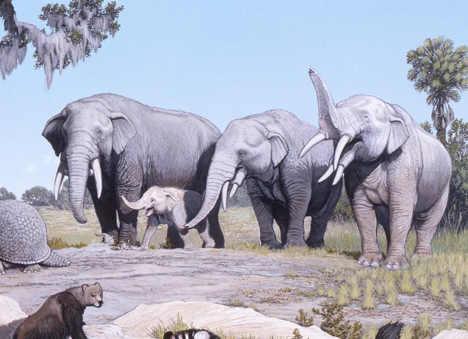 an illustration of three large and one small elephant-like animals that each have an extra pair of short tusks protruding from their lower jaws similar to the ones on their upper jaws