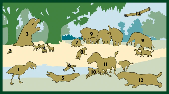 a numbered key to a wildlife scene illustration of many kids of birds and horses and elephants all represented by shapes with numbers to match a picture in this social post