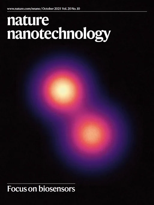 The image on the cover shows two sugars from the same cell-surface glycan separated by 9 Å, visualized with RESI (resolution enhancement by sequential imaging) enabled by metabolic labelling with DNA barcodes.

IMAGE: Luciano A. Masullo, Max Planck Institute of Biochemistry,  Germany.

COVER DESIGN: Vanitha Selvarajan

Original paper: Masullo, L.A.,  et al. Ångström-resolution imaging of cell-surface glycans. Nat. Nanotechnol. 20, 1457–1463 (2025). https://doi.org/10.1038/s41565-025-01966-5

Abstract: Glycobiology is rooted in the study of monosaccharides, ångström-sized molecules that are the building blocks of glycosylation. Glycosylated biomolecules form the glycocalyx, a dense coat encasing every human cell with central relevance—among others—in immunology, oncology and virology. To understand glycosylation function, visualizing its molecular structure is fundamental. However, the ability to visualize the molecular architecture of the glycocalyx has remained challenging. Techniques