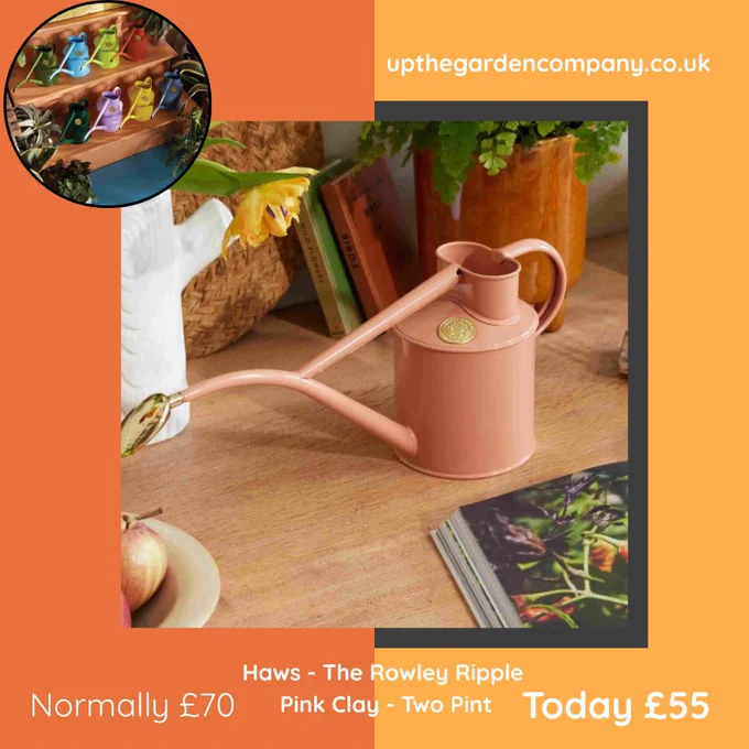 Haws Pink Clay Rowley Ripple Watering Can. Was £70 now £55. upthegardencompany.co.uk
