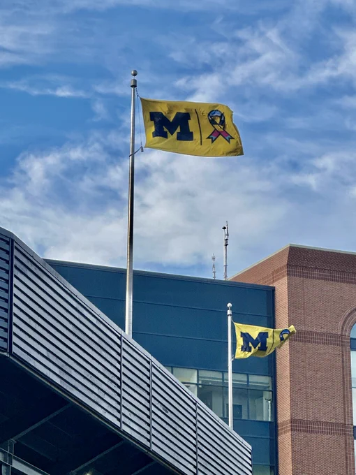 Two University of Michigan flags flying atop a building under a clear blue sky. One flag features the letter 'M' and a Block Cancer ribbon symbol.
