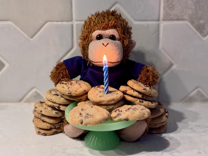 Bob T. Monkey with 20 chocolate chip cookies.