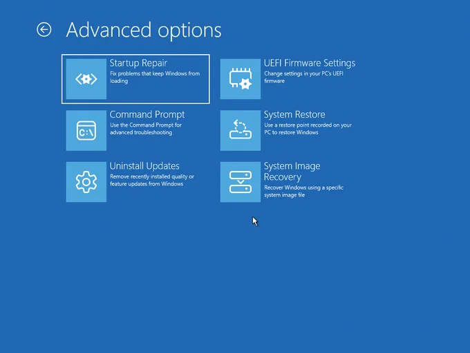 Screenshot shows advanced options aka WinRE (Windows Recovery Environment)