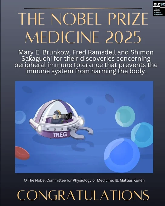 Gray gradient background with elegant font. Text reads: 2025 Nobel Prize in Physiology or Medicine awarded to Mary E. Brunkow (Institute for Systems Biology, Seattle, USA), Fred Ramsdell (Sonoma Biotherapeutics, San Francisco, USA), and Shimon Sakaguchi (Osaka University, Osaka, Japan) “for their discoveries concerning peripheral immune tolerance.” Illustration shows how regulatory T cells monitor other immune cells to prevent attacks on the body’s own tissues. Their work led to the field of peripheral tolerance and new treatments for autoimmune diseases, cancer, and organ transplant success. Artwork by © The Nobel Committee for Physiology or Medicine. Ill. Mattias Karlén.