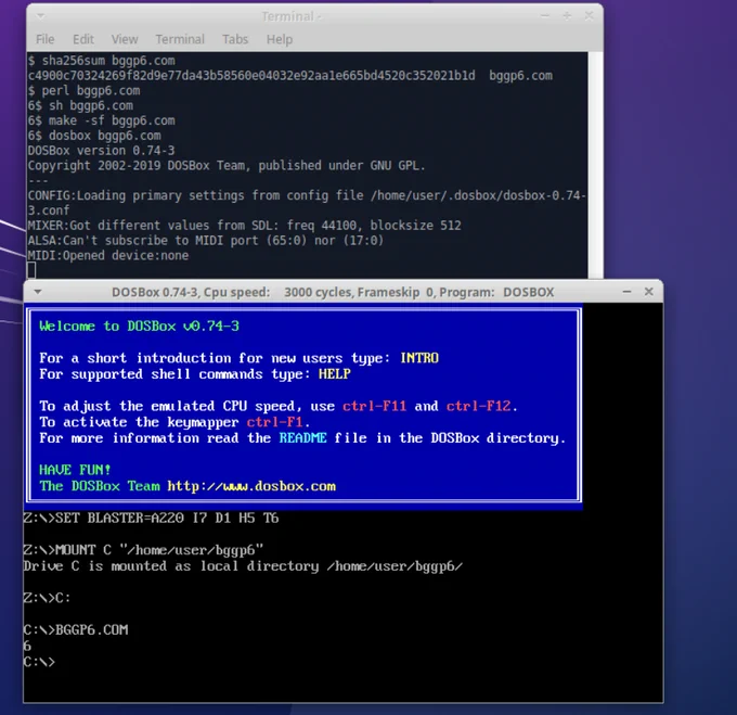 running the 55 byte file named in the post with perl, shell, make, and dosbox. 