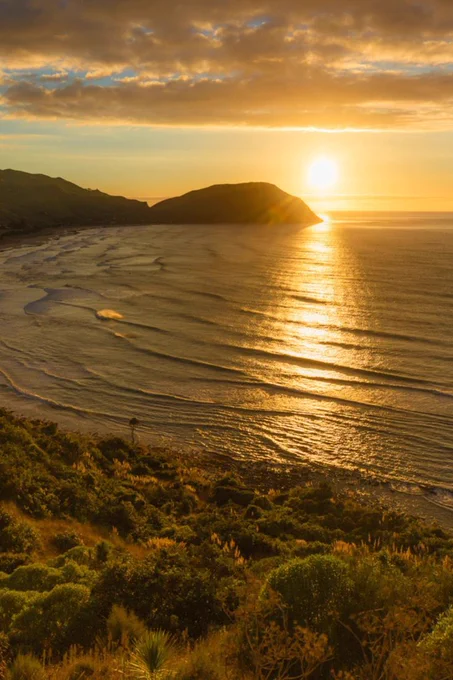 Gisborne 