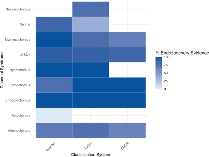 Endozoochory evidence (species or genus level) across different syndromes and classification systems. The heatmap represents the percentage of Surtsey colonisation records for which endozoochory evidence was present within a specific dispersal syndrome and classification system (EuDiS, Baseflor, SDDM). Darker blue shades indicate a higher proportion of records with endozoochory evidence, while lighter shades represent lower proportions. The LNSD  row includes ‘Local non-specific’ for SDDM, ‘Unspecialised’ for EuDiS and ‘Barochorous’ for Baseflor. ‘No info’ refers to plant species not included in the respective syndrome classification.