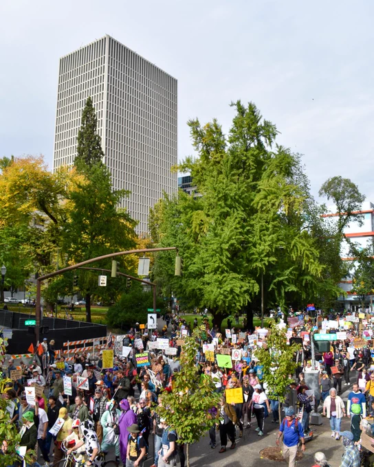 People peacefully marching during the second No Kings protest on Saturday, Oct. 18, 2025 through downtown Portland.