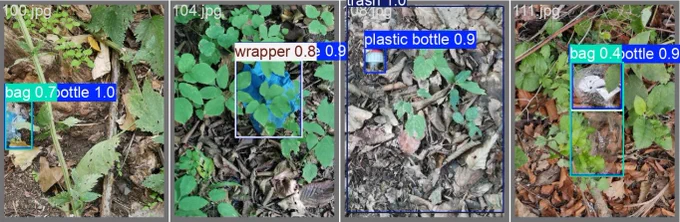 litter in the forest