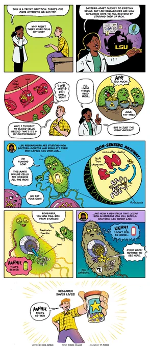 Mike’s infection isn’t responding to antibiotics. “Bacteria adapt fast,” his doctor says, “but LSU researchers are finding new ways to fight them—by starving them of iron.” Mike pictures his blood cells guarding yellow iron particles as sneaky green bacteria try to steal them. LSU scientists study how bacteria sense and store iron through proteins like ferredoxin and bacterioferritin. A new drug could trap iron in storage, tricking bacteria into thinking they have none and killing them off. Mike leaves hopeful—LSU research could one day save lives like his.
