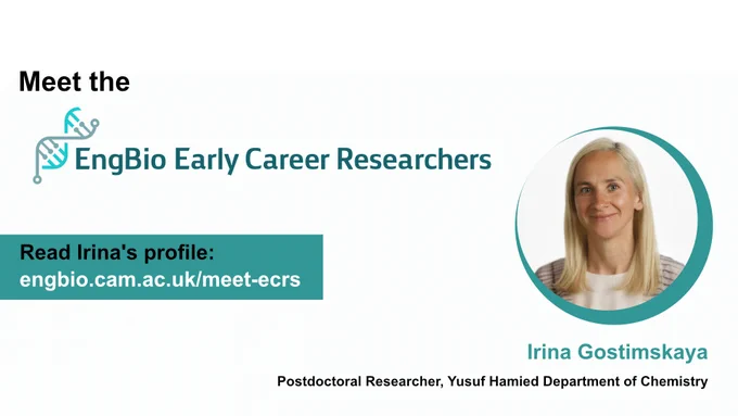 Banner saying "Meet the EngBio Early Career Researchers" with photo of Irina Gostimskaya and link to web profile.
