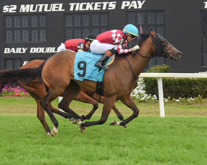 Nitrogen winning Tampa Bay Downs' G3 Florida Oaks. A close second was Lush Lips, who last month won Keeneland's G1 Queen Elizabeth II Challenge Cup. SV Photos