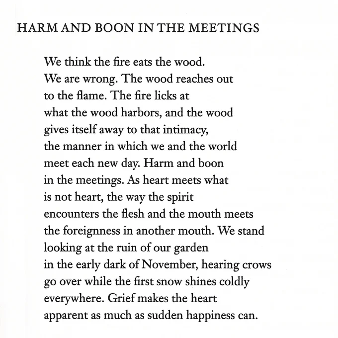 HARM AND BOON IN THE MEETINGS

We think the fire eats the wood. 
We are wrong. The wood reaches out 
to the flame. The fire licks at
what the wood harbors, and the wood 
gives itself away to that intimacy, 
the manner in which we and the world 
meet each new day. Harm and boon 
in the meetings. As heart meets what 
is not heart, the way the spirit
encounters the flesh and the mouth meets 
the foreignness in another mouth. We stand 
looking at the ruin of our garden
in the early dark of November, hearing crows
go over while the first snow shines coldly 
everywhere. Grief makes the heart
apparent as much as sudden happiness can.