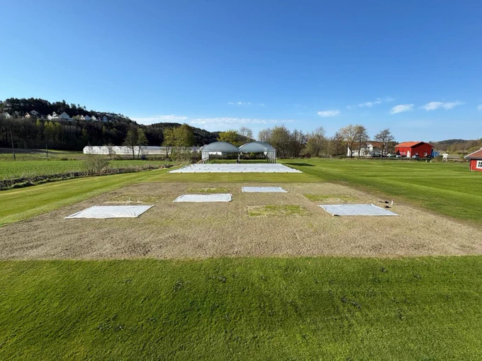 Turfgrass research area with brown, mixed brown and green, or covered turfgrass plots. 