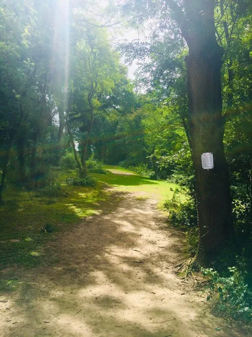 Woodland trail. Photo via Little Oxplorers