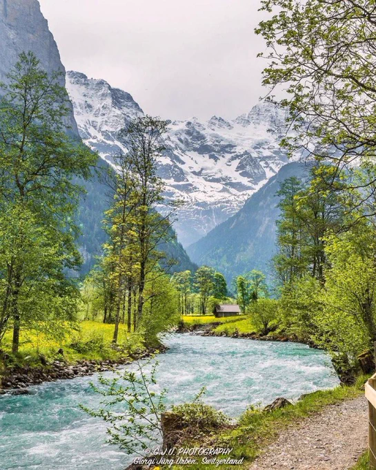 Nature 