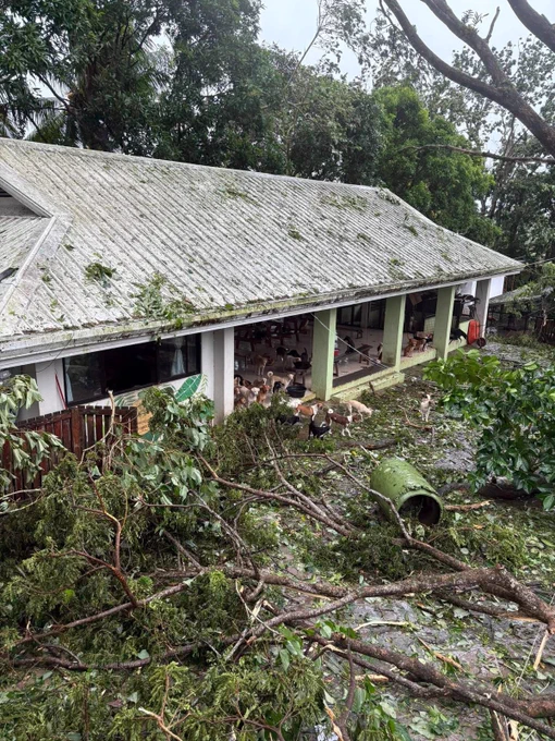 Non-profit animal welfare organization Pawssion Project has launched a donation drive to help rebuild its Bacolod shelter, which sustained severe damage after Typhoon #TinoPH struck the area.