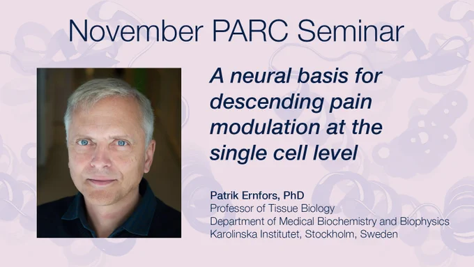 November PARC Seminar: A neural basis for descending pain modulation at the single cell level, presented by Patrik Ernfors, PhD.