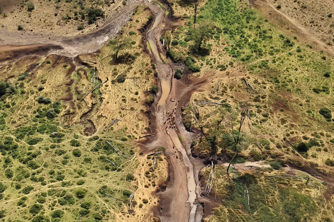 Migration routes in Motikanju Reserve, Kenya