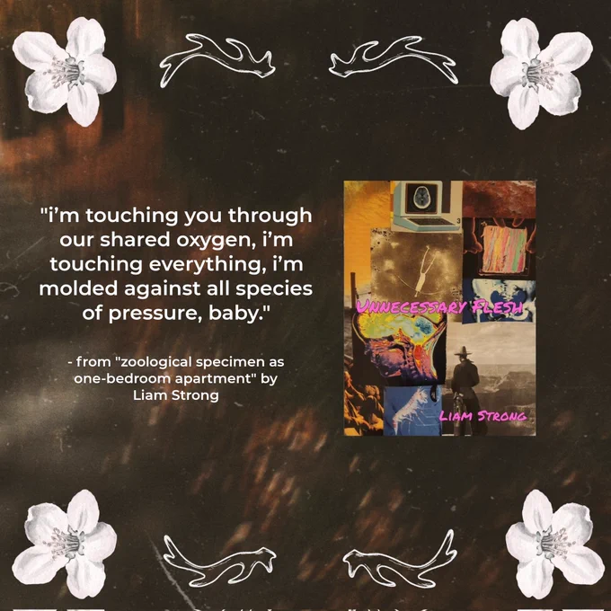 i’m touching you through our shared oxygen, i’m touching everything, i’m molded against all species of pressure, baby." - from "zoological specimen as one-bedroom apartment" by Liam Strong